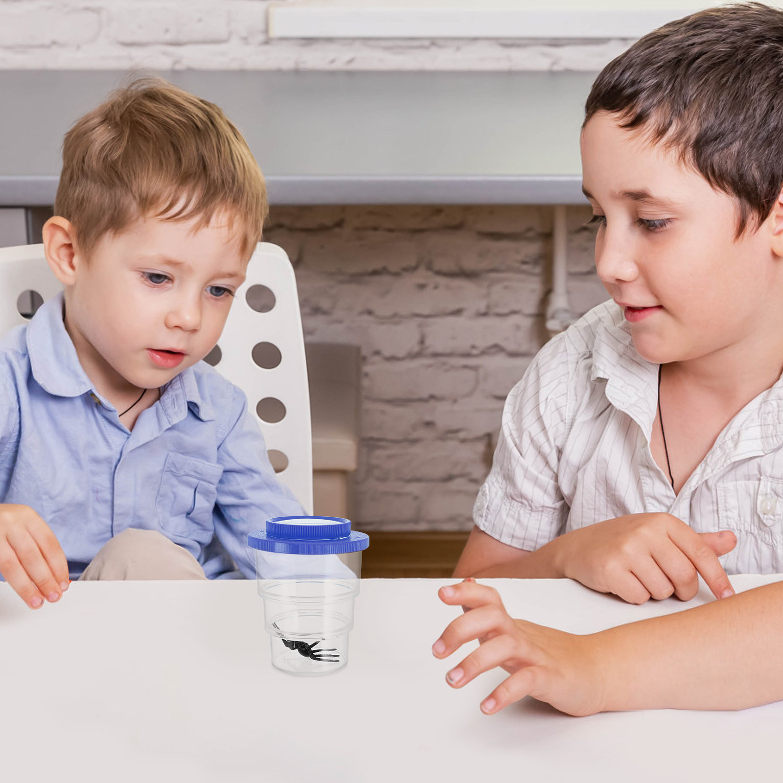 Three-Section Insect Observati - Science Kit review and price