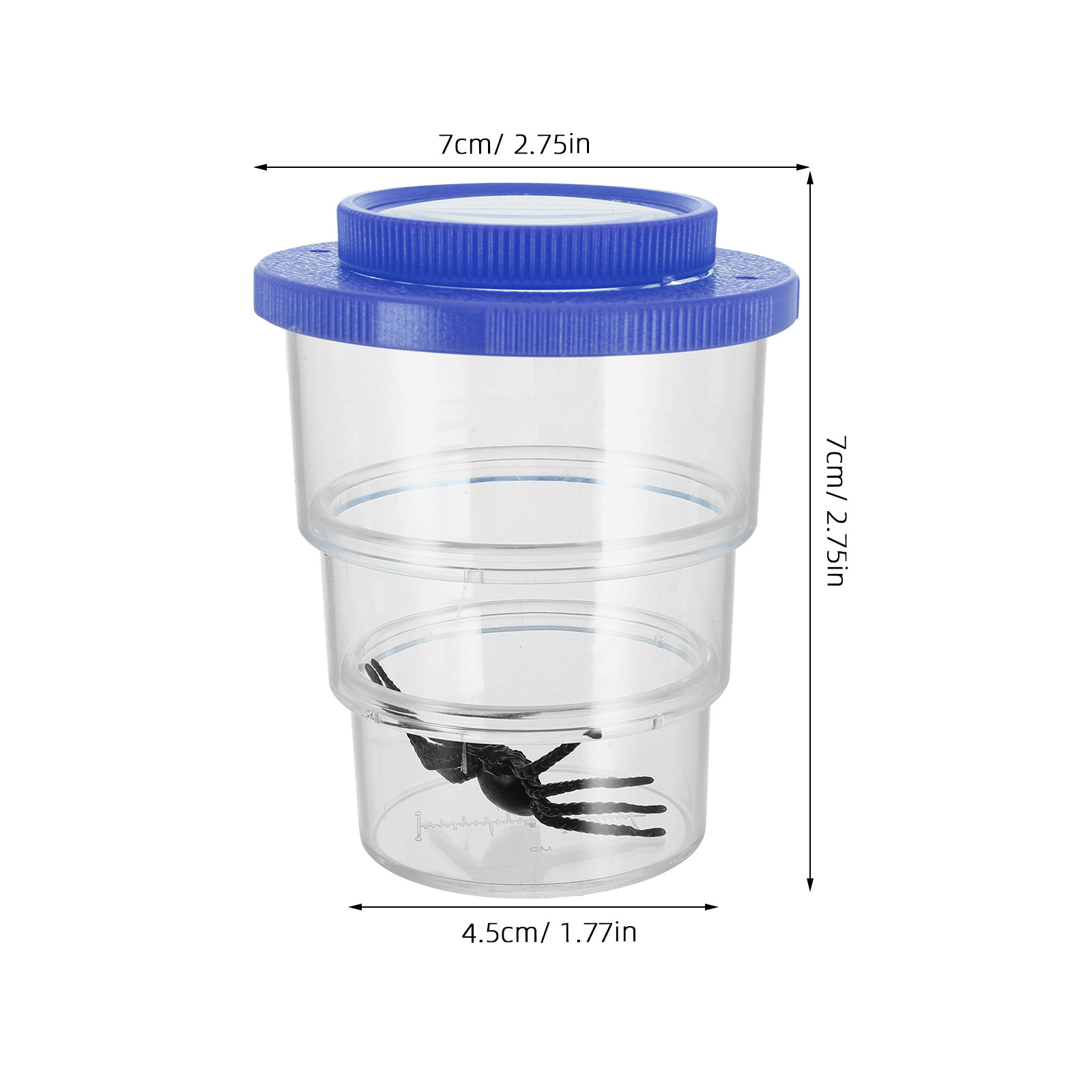 Three-Section Insect Observati - Science Kit review and price