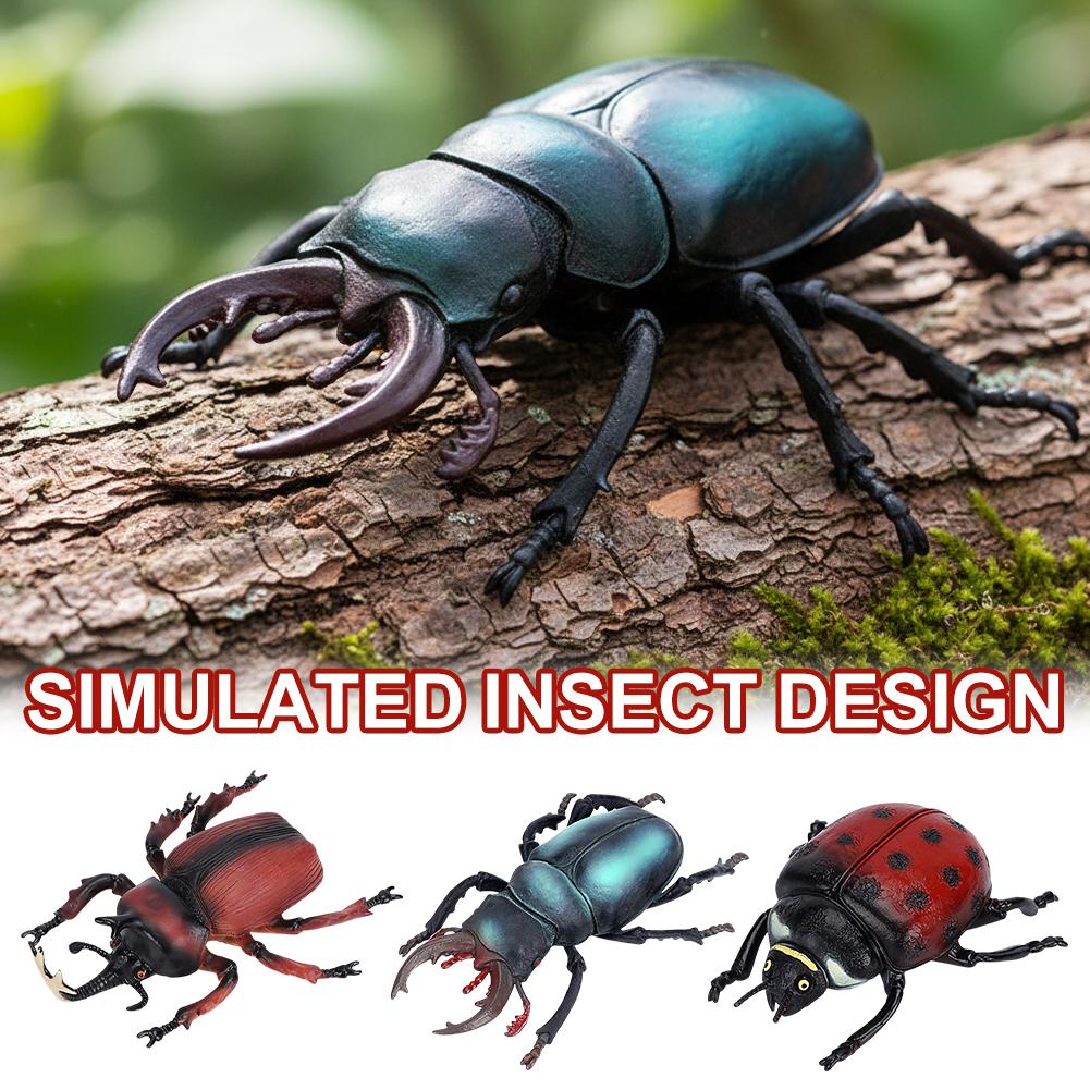 Realistic Stag Beetle Figurine - Science Nature review and price