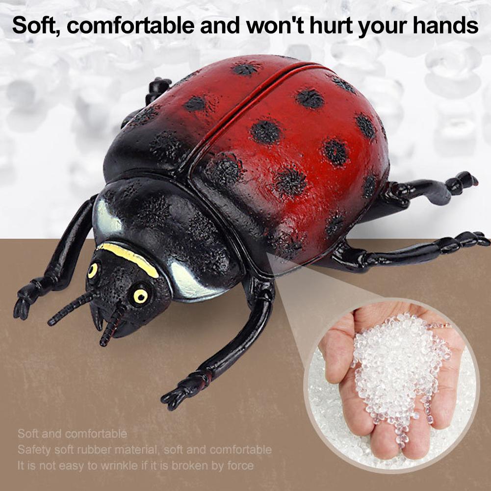 Realistic Stag Beetle Figurine - Science Nature review and price