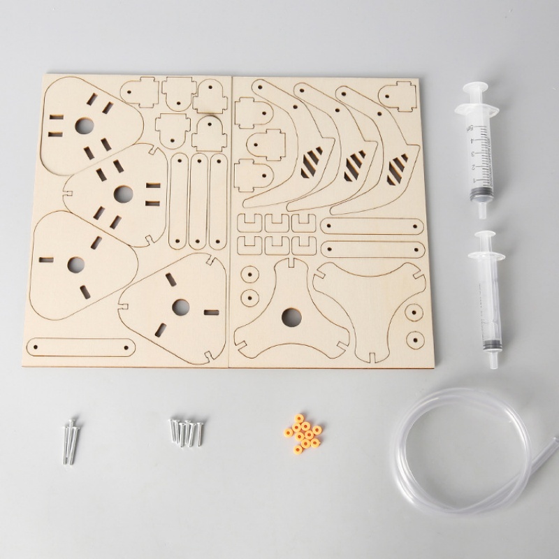 DIY Stem Piston Hydraulic Mech - Science Project Kit review and price